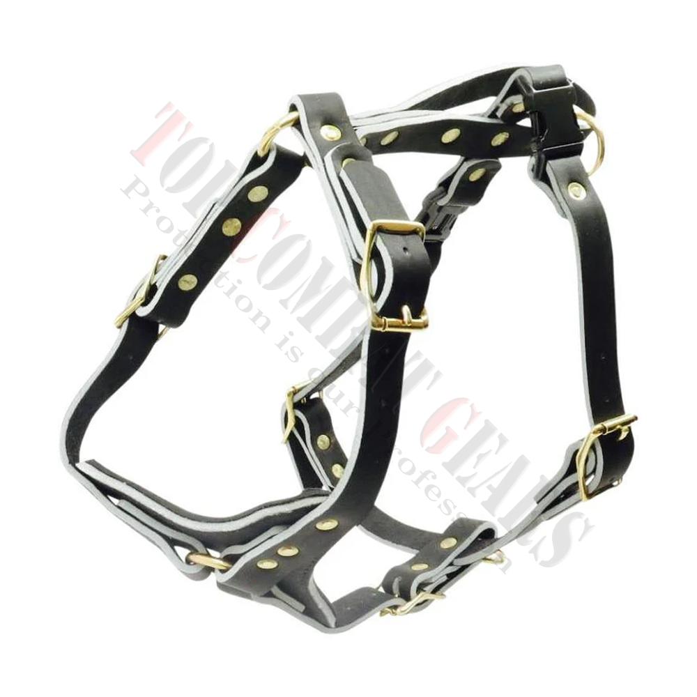 5 Tactical K9 Gear - Image 1